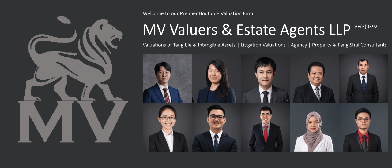 About MV Valuers & Estate Agents