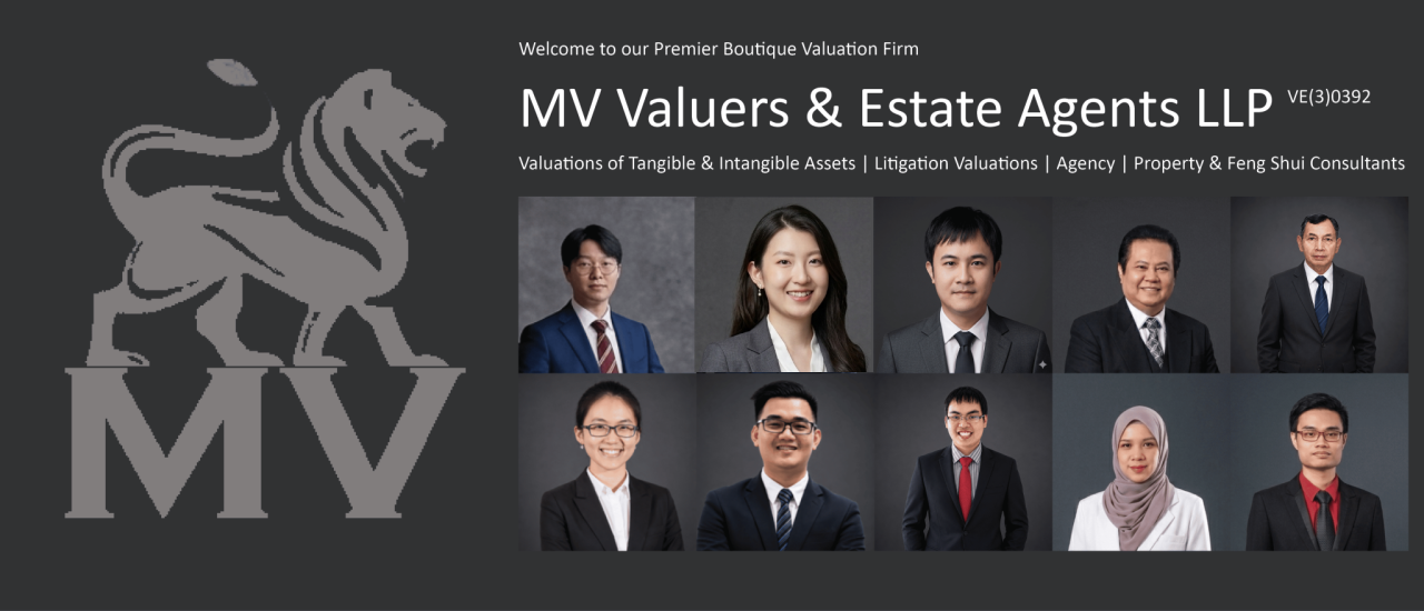 About MV Valuers & Estate Agents